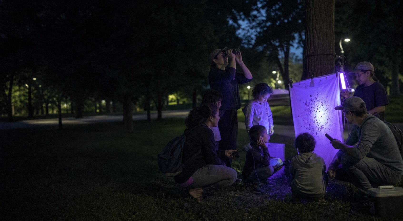 Roanoke Parks plans nighttime Bug & Bat Nature Exploration at Wasena Park