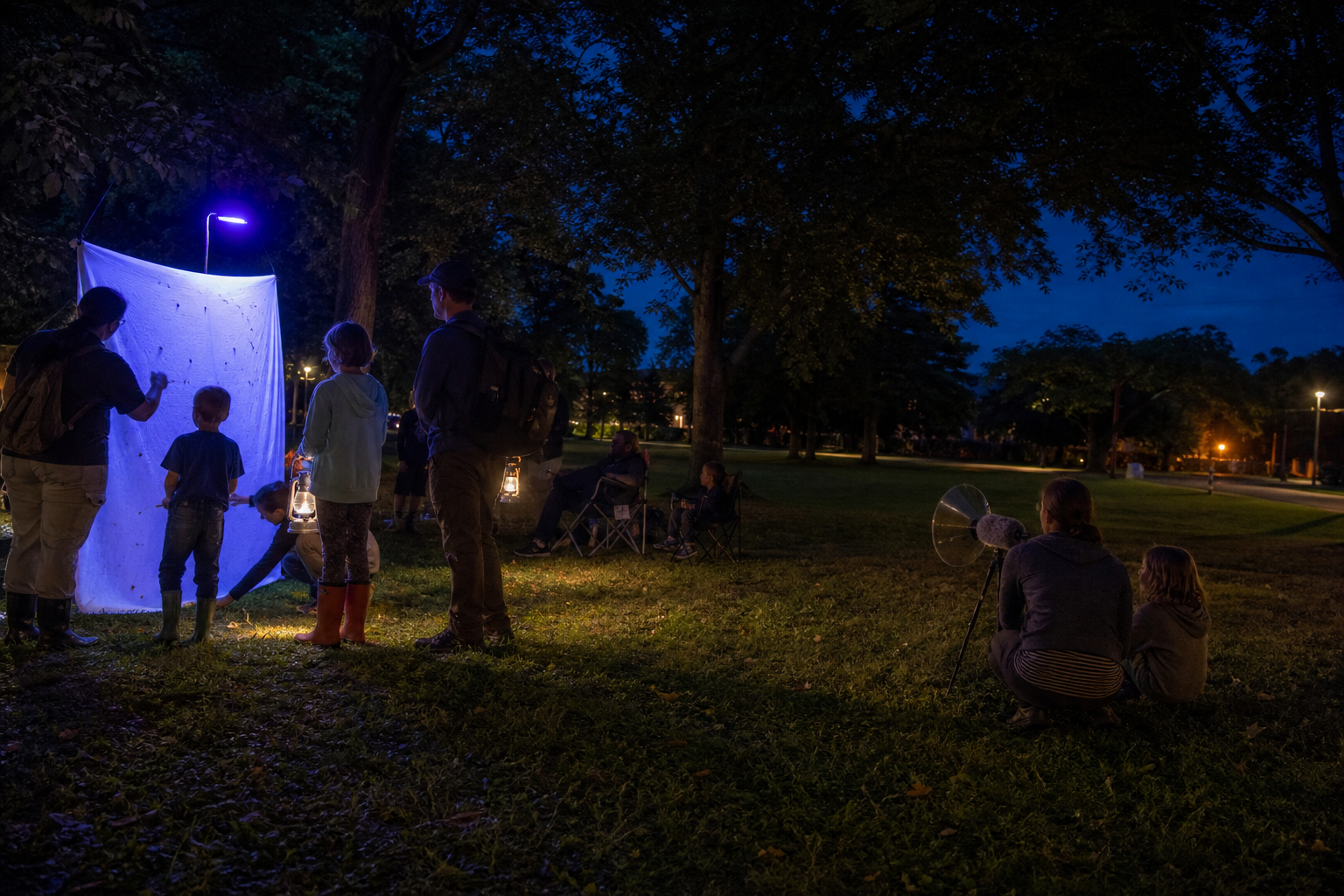 Bug & Bat Night brings after-dark nature exploration to Roanoke's Eureka Park
